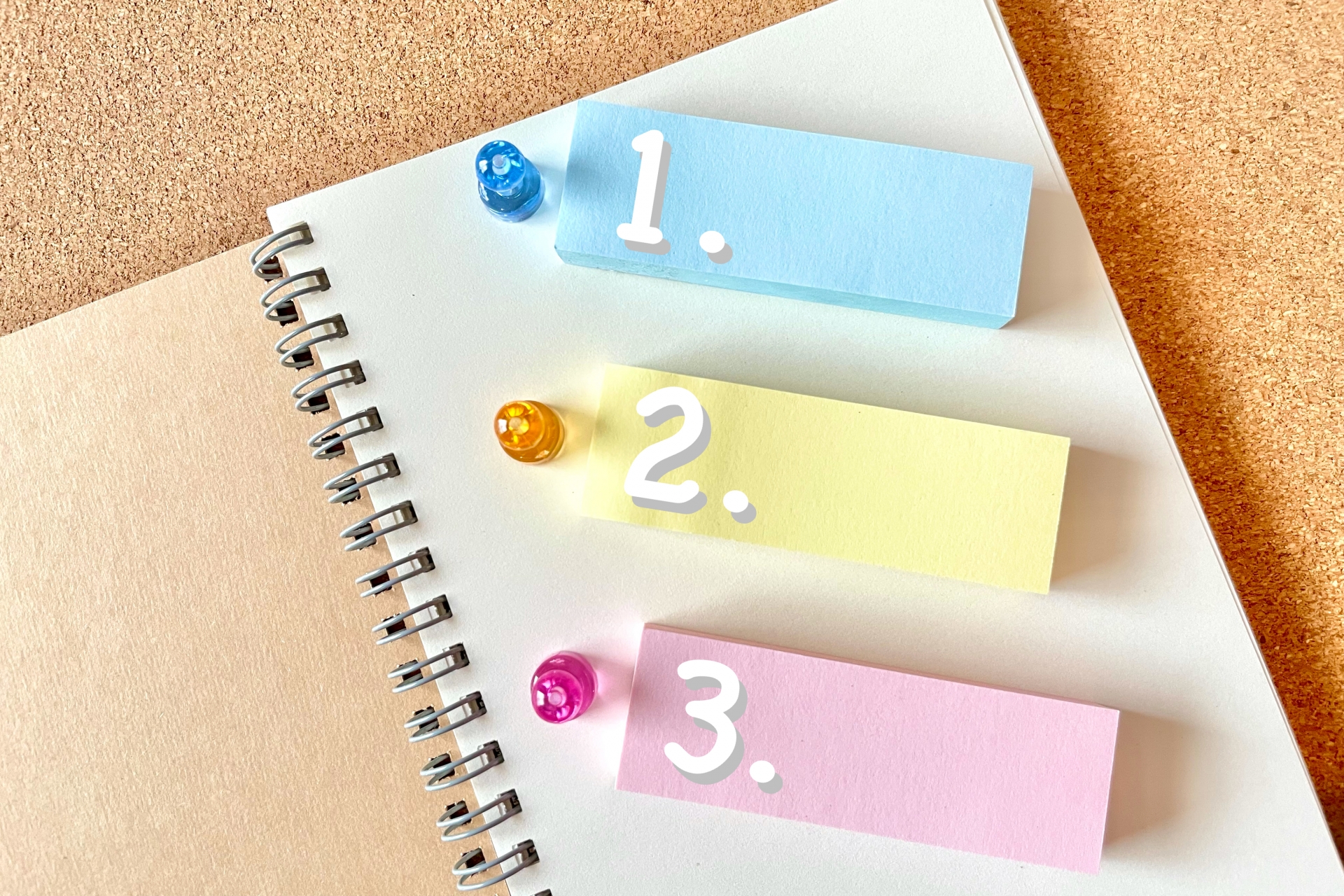 株式会社TOKOの折戸「イスターカーテン」の設置事例3選