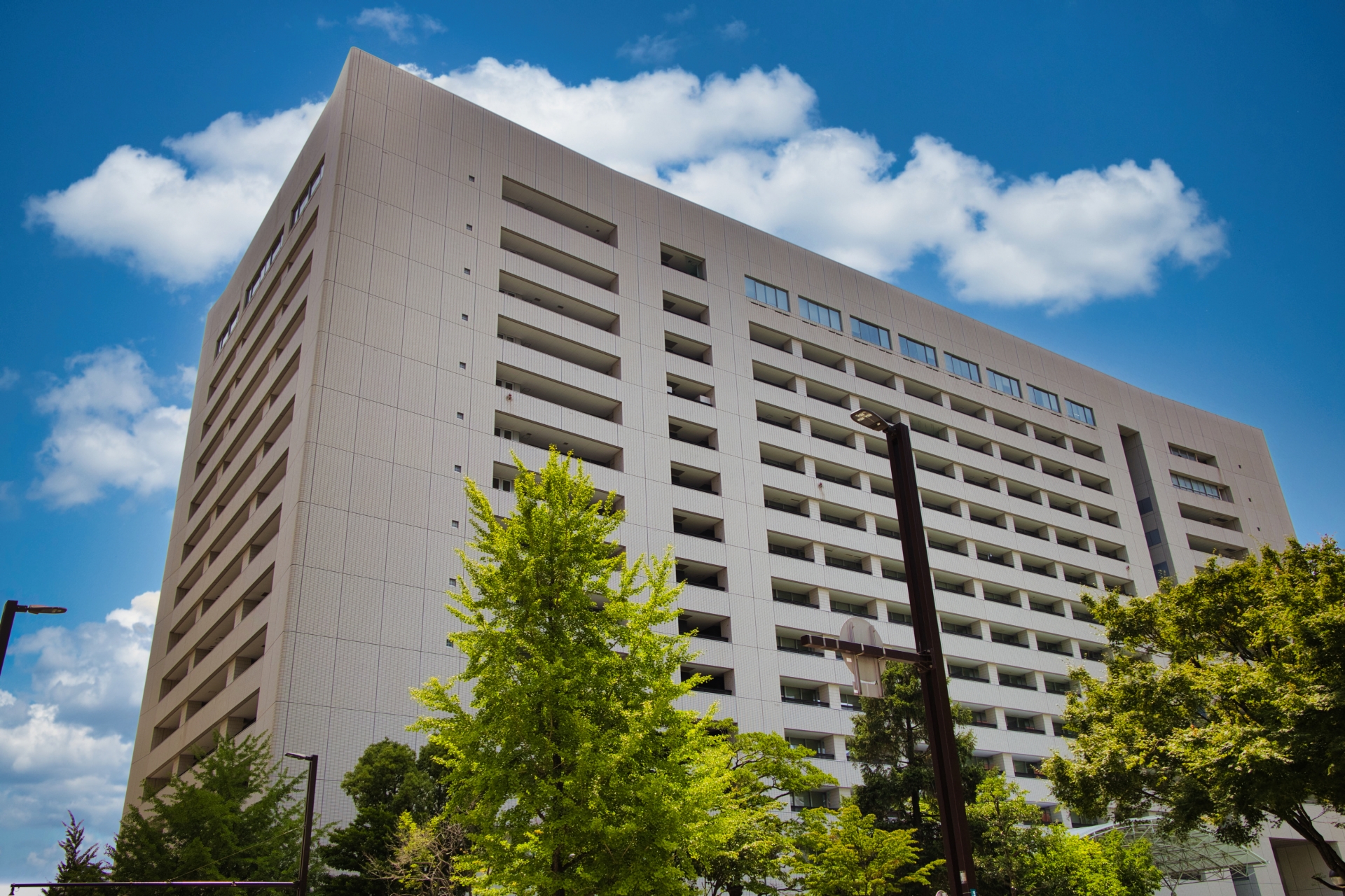 庁舎の間仕切りはどう考える？運営・動線・開放性を両立する折戸・横引きシャッター活用法