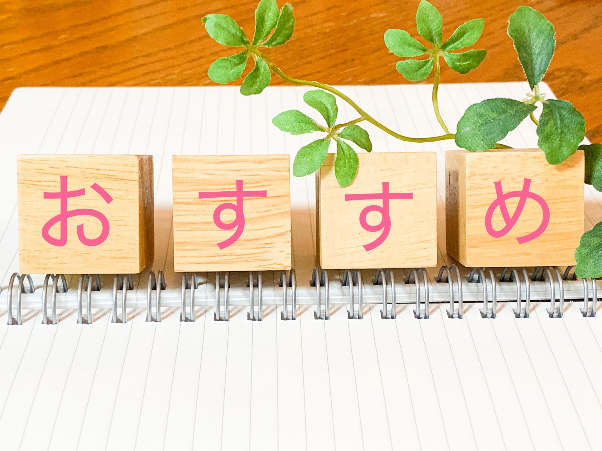 彩光建具におすすめの折戸3選